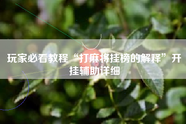 玩家必看教程“打麻将挂榜的解释”开挂辅助详细