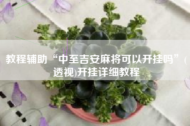 教程辅助“中至吉安麻将可以开挂吗”(透视)开挂详细教程