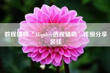 教程辅助“AGpoker透视辅助”详细分享装挂
