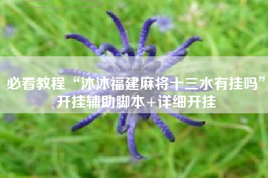 必看教程“沐沐福建麻将十三水有挂吗”开挂辅助脚本+详细开挂