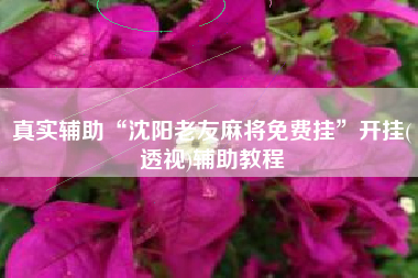 真实辅助“沈阳老友麻将免费挂”开挂(透视)辅助教程