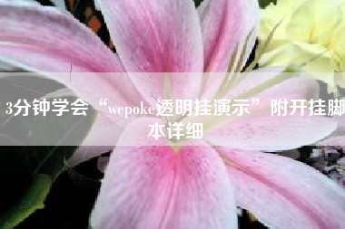 3分钟学会“wepoke透明挂演示	”附开挂脚本详细