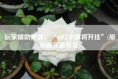 玩家辅助神器：“66红中麻将开挂”(原来确实是有挂)