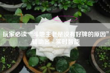 玩家必读“斗地主老是没有好牌的原因”辅助器 - 实时智能