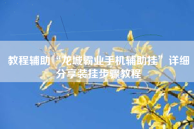 教程辅助“龙城霸业手机辅助挂	”详细分享装挂步骤教程