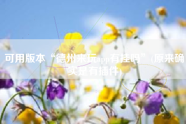 可用版本“德州来玩app有挂吗”(原来确实是有插件)
