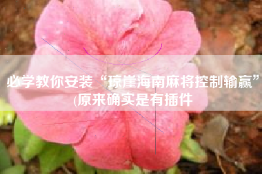 必学教你安装“琼崖海南麻将控制输赢”(原来确实是有插件