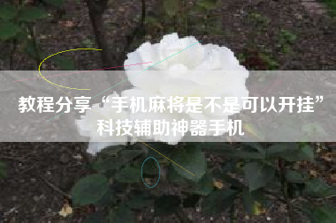教程分享“手机麻将是不是可以开挂	”科技辅助神器手机
