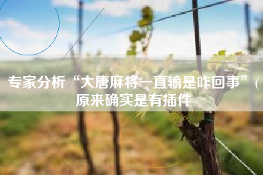 专家分析“大唐麻将一直输是咋回事	”(原来确实是有插件