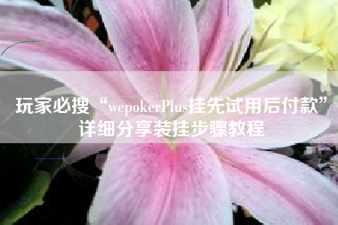 玩家必搜“wepokerPlus挂先试用后付款	”详细分享装挂步骤教程