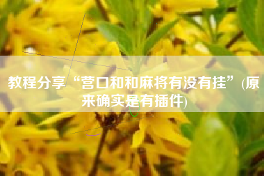 教程分享“营口和和麻将有没有挂”(原来确实是有插件)
