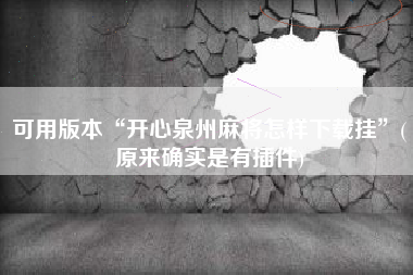 可用版本“开心泉州麻将怎样下载挂	”(原来确实是有插件)