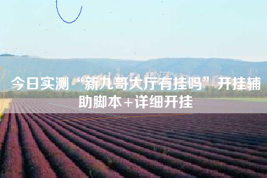 今日实测“新九哥大厅有挂吗”开挂辅助脚本+详细开挂
