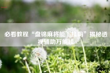 必看教程“盘锦麻将能下挂吗”揭秘透视辅助万能挂