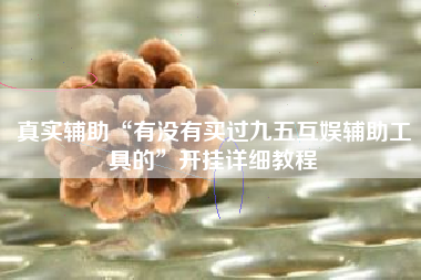 真实辅助“有没有买过九五互娱辅助工具的	”开挂详细教程