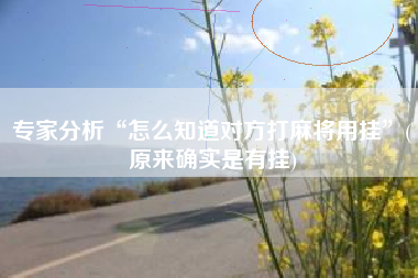 专家分析“怎么知道对方打麻将用挂	”(原来确实是有挂)